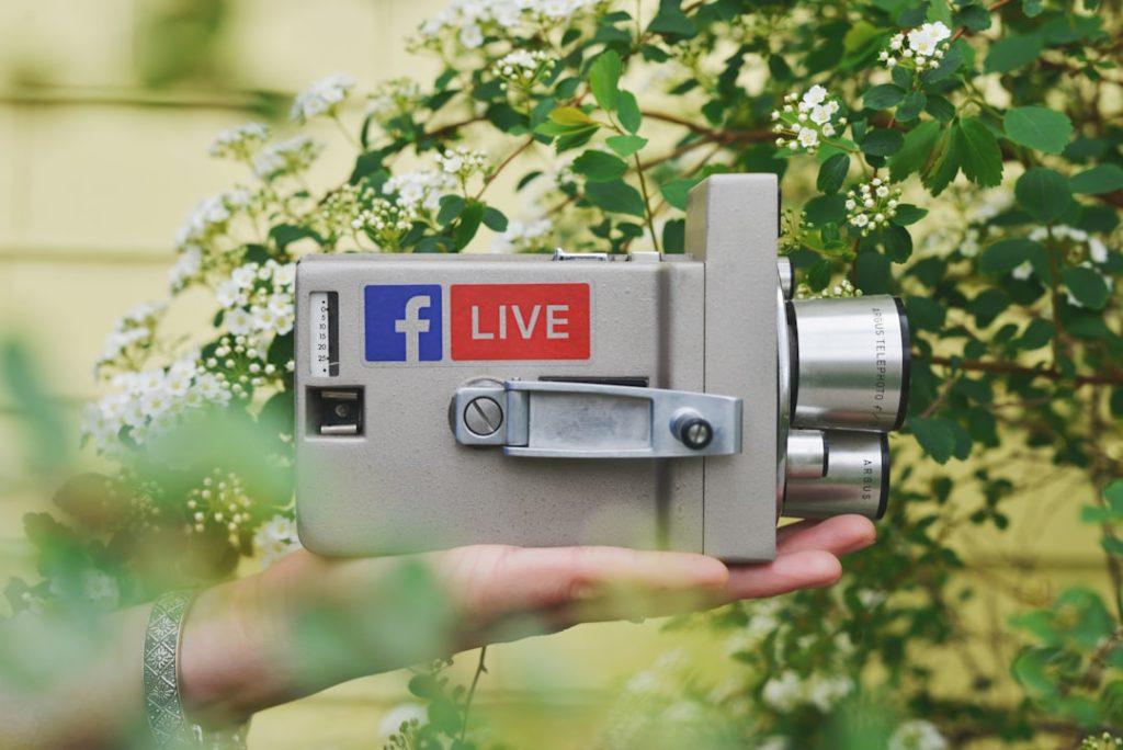 Photo Social media feed