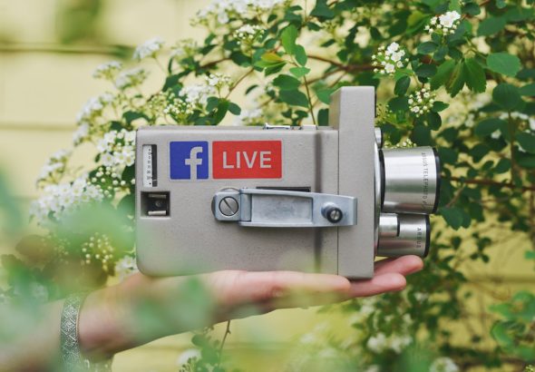 Photo Social media feed